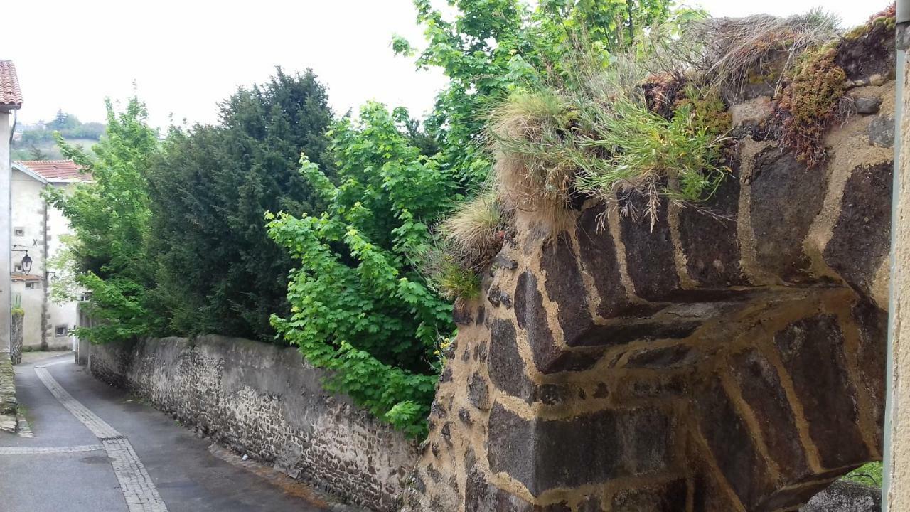 Le Petit Dyke Apartment Le Puy-en-Velay Luaran gambar